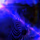 MONKEY-