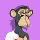 Monkey Art NFT-