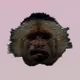 Monkey Asylum 2