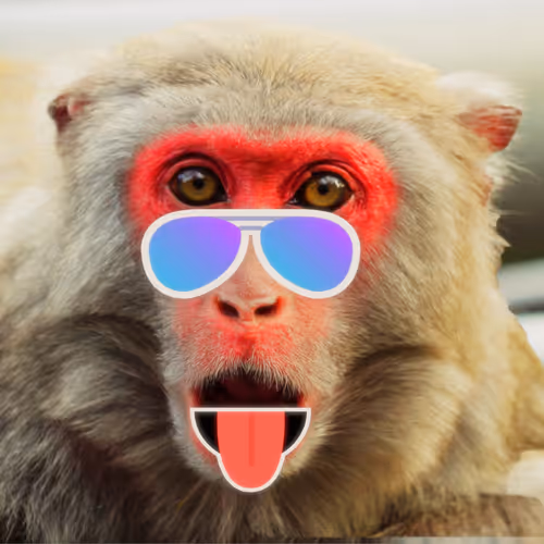 Monkey_Attitude