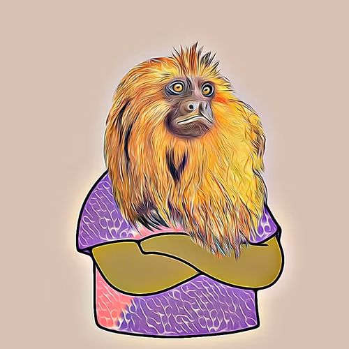 monkey hand crossed stripe shirt