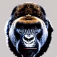 Monkey Madness - Primapes