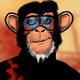 Monkey Ninjitsu