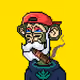 MONKEY Punky