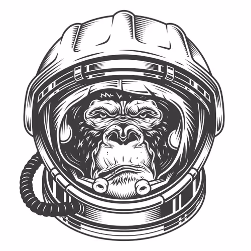 MonkeyCam