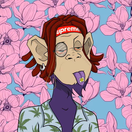 MonkeyCash Collection