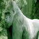 MonkeyDrum-Monsters