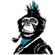 monkeys ape