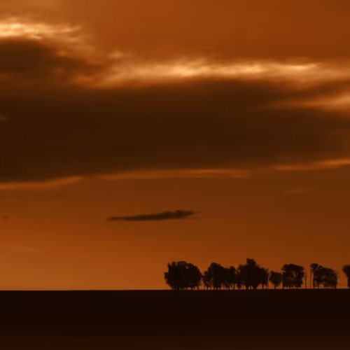 Monochromatic Images #1