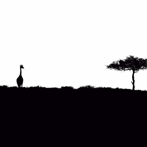 Monochrome | Minimalism - old