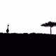 Monochrome | Minimalism - old