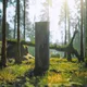 Monolith's Discovery
