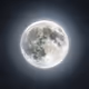 Moon addicted