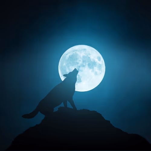 MOON ANIMAL SILHOUTTE