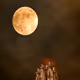 Moon Extinguishers