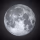 Moon Light Moon