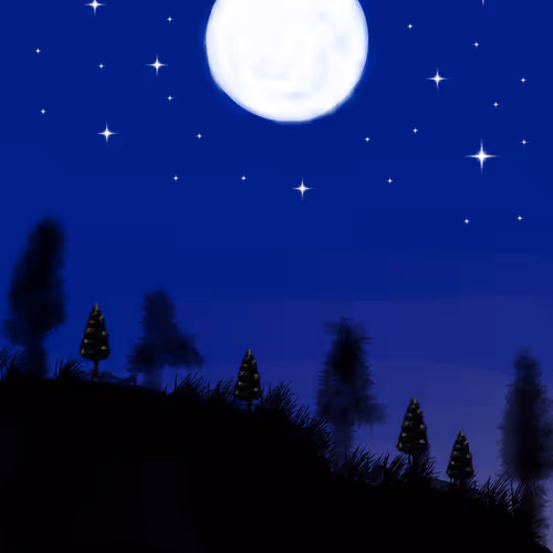 Moon Night Art