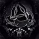 MOON RABBITS: Collaborations