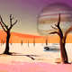 moon sunset in the desert