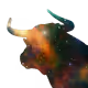 Moon Bulls