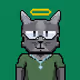 MoonHood Cats