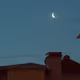 Moonhunt over the roofs
