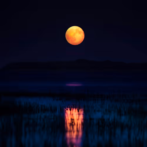 Moonlight of Delights - old