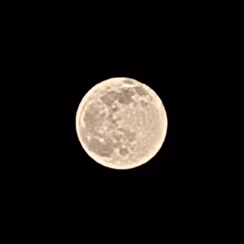 MOONLIGHT SPECTRUM - old