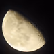 moonshoots