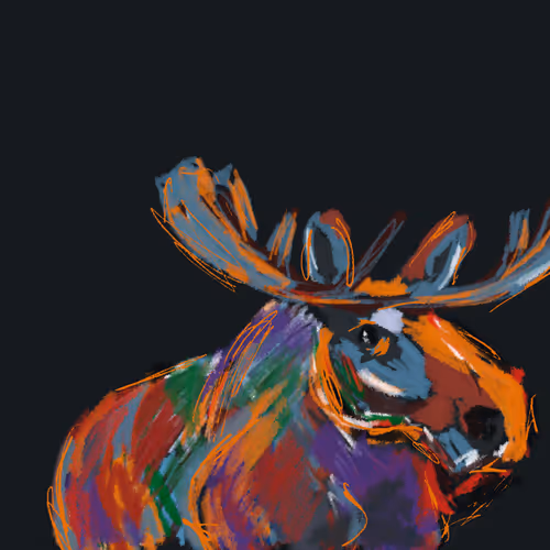 Mooseontheloose