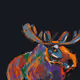 Mooseontheloose