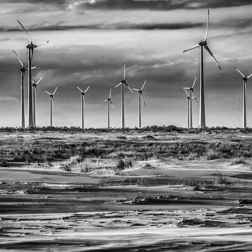 Morates B & W