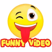 Funny Videos #1
