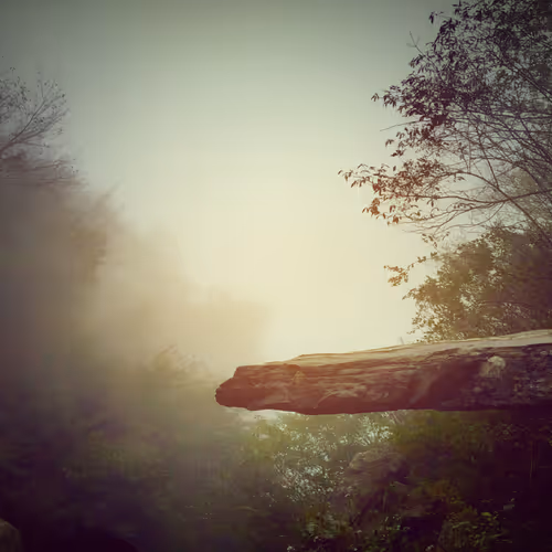 morning bridge