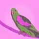 Mosaic Dot Parrot