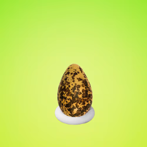 Most Beautiful Birds Eggs