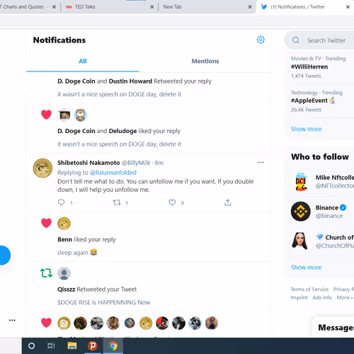 MOST CRAZY DOGECOIN MEMORY NFT - old