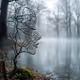 MOTHER NATURE