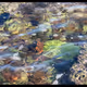 Mother Nature Abstract Art - old