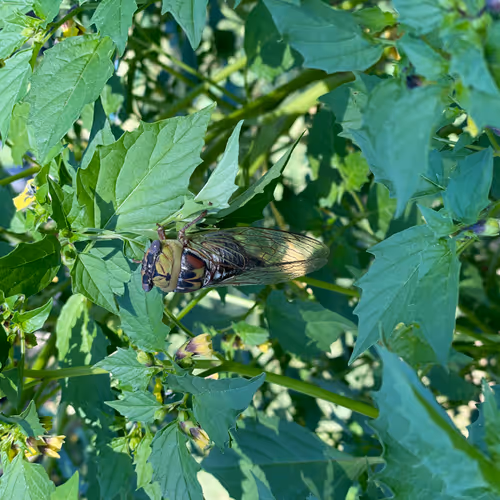 Mother Nature is a Bad Bitch