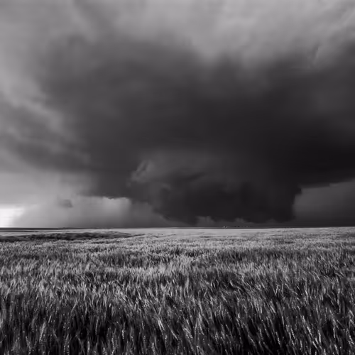 Mother Nature's Fury In B&W - old