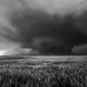 Mother Nature's Fury In B&W - old