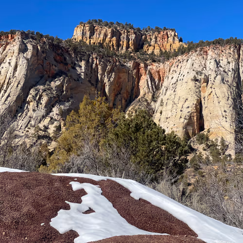 Mother Natures Collection