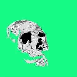 アイテム メディア プレースホルダー