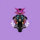 Moto Punks Club
