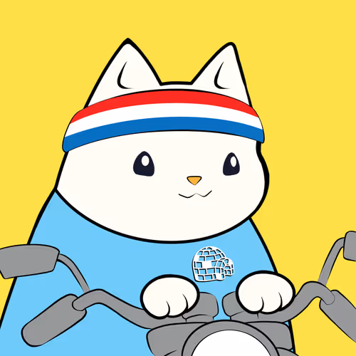 Motocat Racing Club [LIMITED EDITION]