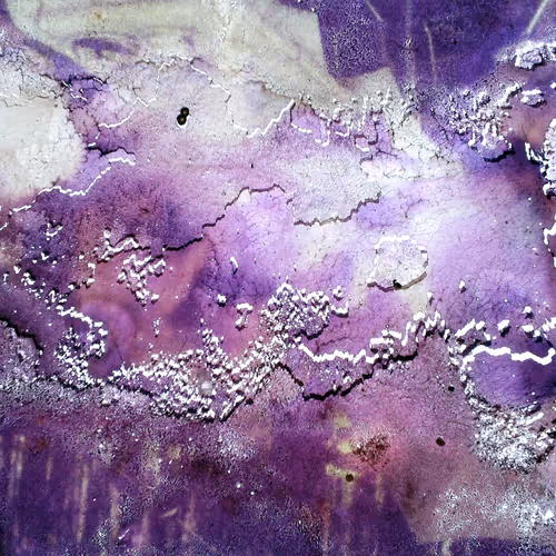 mouldy slides - old