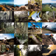 Mountainbike Origins - 20 x 1/1 Action Packed Moments by Captyvate