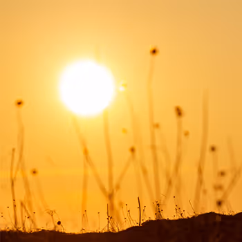 Mountains by Valinart