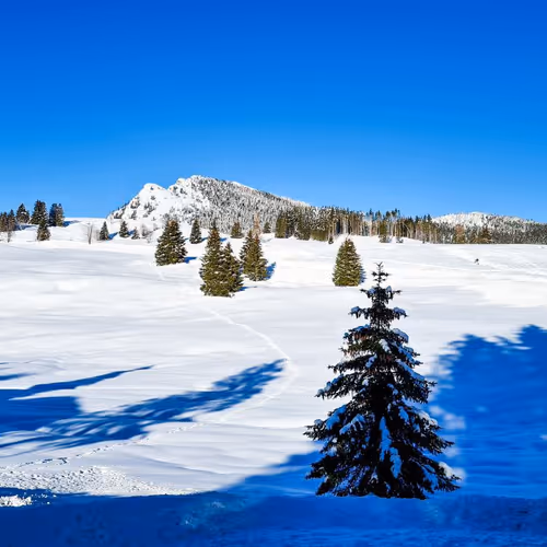 Mountanis and Lakes